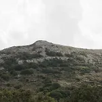 Pantotina Kaloxylos Naxos Khalkíon