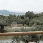 Pantotina Kaloxylos Naxos * Khalkíon