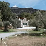 Pantotina Kaloxylos Naxos Khalkíon