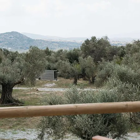 Pantotina Kaloxylos Naxos * Khalkíon