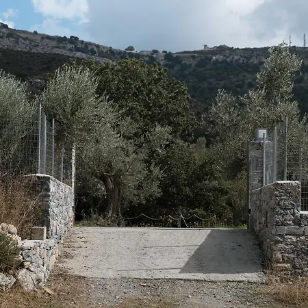 Pantotina Kaloxylos Naxos Casa vacanze