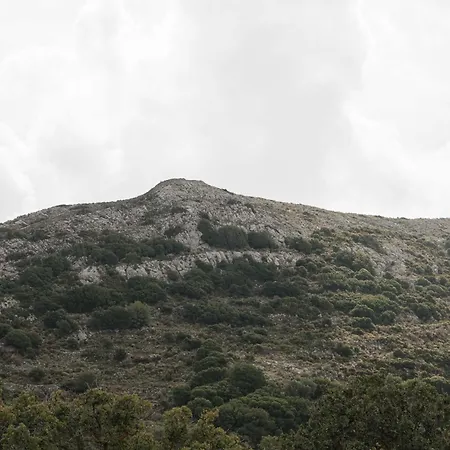 Pantotina Kaloxylos Naxos Khalkíon