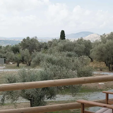 Pantotina Kaloxylos Naxos Ferienhaus Khalkíon