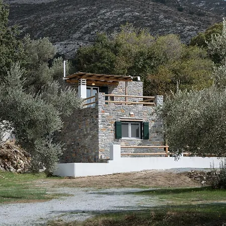Pantotina Kaloxylos Naxos *