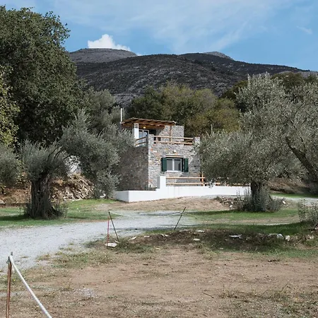 Pantotina Kaloxylos Naxos Khalkíon