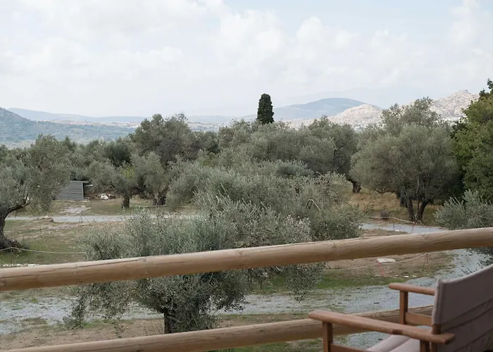 Pantotina Kaloxylos Naxos Ferienhaus Khalkíon