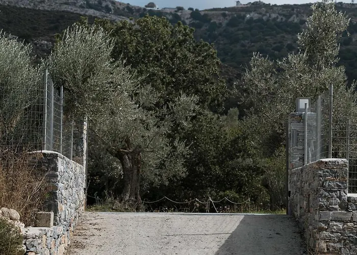Pantotina Kaloxylos Naxos Ferienhaus